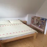 Drevenicka 110 Сasa de vacaciones