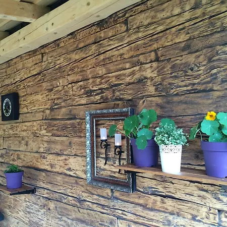 度假居 德莱温妮卡110度假屋 Zázrivá